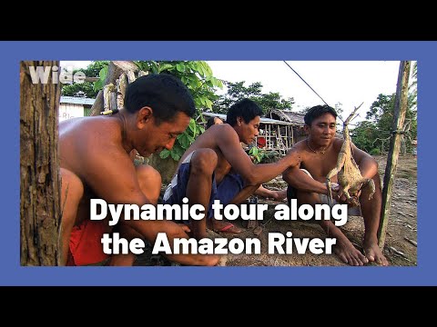 Enthralling boat trip: the Amazon River | WIDE