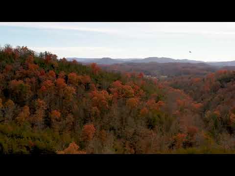 Ron Clevenger video