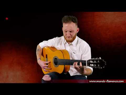 Pepe Fernández,  Soleá - guitarra de Francisco Sánchez