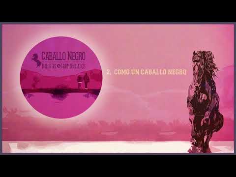 Como un caballo negro