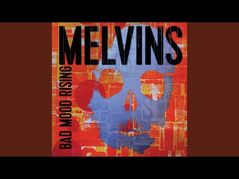 Mr. Dog is Totally Right