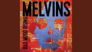 Mr. Dog is Totally Right