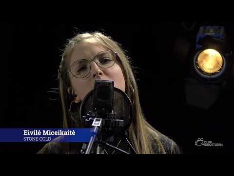 Eivilė Miceikaitė - Stone cold