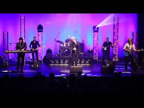 NIGHT FEVER - The very best of the BEE GEES