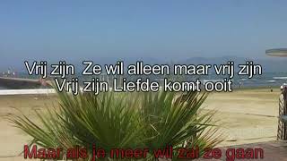 Marco Borsato  - Vrij zijn ( KARAOKE ) Lyrics