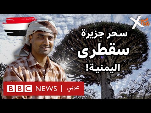 فيديو | ماذا تعرفون عن جزيرة سقطرى واللغة السقطرية؟