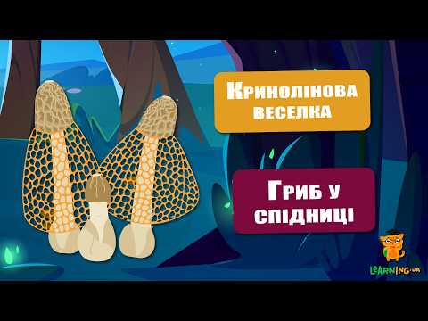 🍀 Дива природи. Явища навколо нас. Кринолінова веселка 🌏