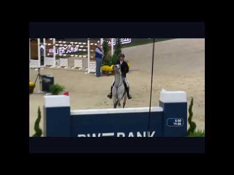 Cornetboy - CSI5-W Stuttgart - 15 11 2019 -  D2