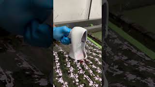 Hydro Dipping High Hell #satisfyingvideo