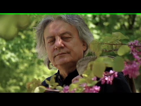 Ljupco Trajkovski Fis ~ PESNO MOJA MOJA SVETLINO 2024