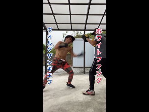 最強コンビネーション]オーバーハンドからホワイトファング3連打#ボクシング #格闘技 #喧嘩 #はじめの一歩 #強打