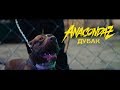 Anacondaz - Дубак