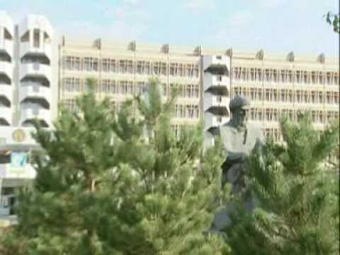 Medicina come migliorare la potenza maschile Mandorle potenza
