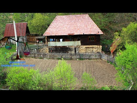 Kur erdhi Kunati nga Gjermania