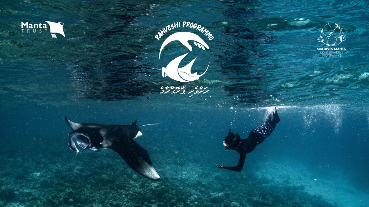 The Local Island Fund for the Environment (LIFE) - RahVeshi Fund I Manta Trust