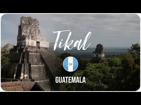 Auf den Spuren der Maya in Tikal • Guatemala | Weltreise Vlog #06