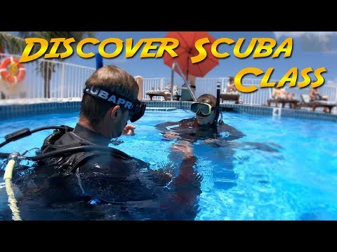 download lagu mp3 mp4 Discover Scuba, download lagu Discover Scuba gratis, unduh video klip Discover Scuba