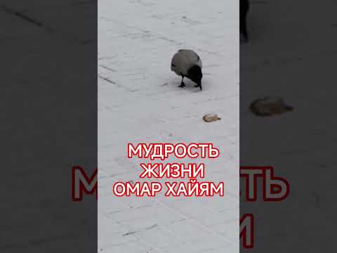 МОТИВАЦИЯ НА КАЖДЫЙ ДЕНЬ #мотивацияивдохновение #мышление #мудрость #омархайям #жизнь