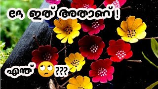 മുട്ട ട്രേ ഇനി കളയില്ലBeautiful Egg Carton Craft Ideas|Wall Decor Craft| Egg Tray|Best Out Of Waste|