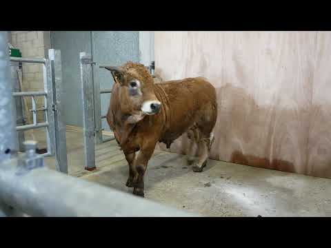 115 - GASQ-BRUNEL CHRISTIANE (12)