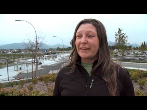 A day in the life of TransLink