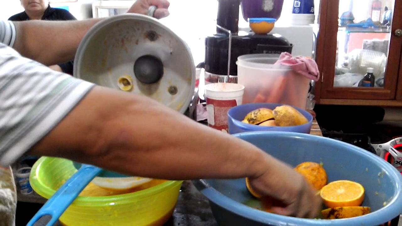 Potente extractor de jugos artesanal