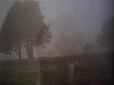 Prendi i soldi e scappa!!!