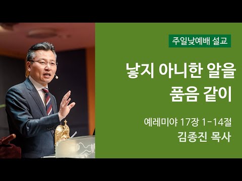 낳지 아니한 알을 품음 같이 사진