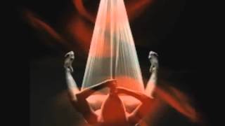 Meu mundo belo e pulsante