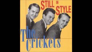 The Crickets When You Ask About Love songcover