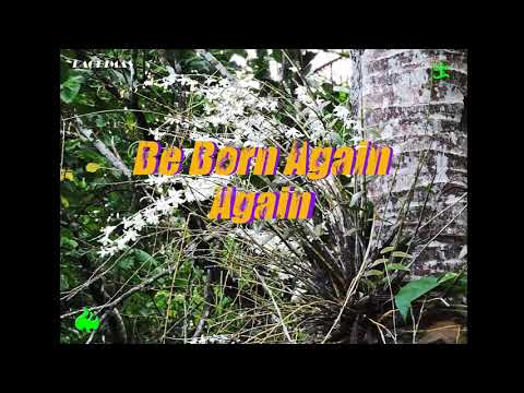 Be Born Again  Again By Pastor Ed Lapiz