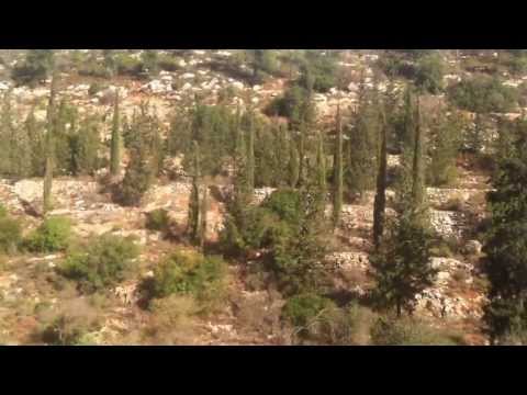 Jerusalem Tel Aviv 9-12-2013 by Tal Ben Zvi - e