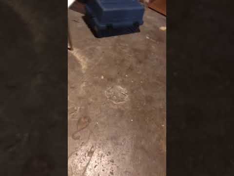 Scary Danny g at 3am! 🐀🐲🐁🐁🐁🐁🐁🔩🔨🔨🔩🔩🔩🪚⛓🇻🇺🏴󠁧󠁢󠁳󠁣󠁴󠁿🇺🇬🇹🇬🇹🇷🇹🇼🇸🇩🇸🇷🇻🇳