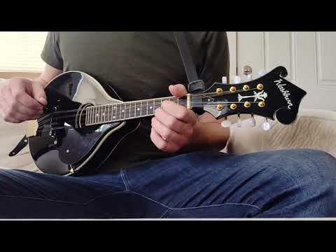Washburn M1SDLB Bluegrass Series image 9