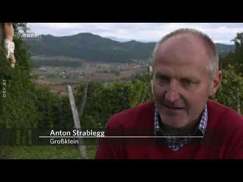 Heimat Österreich - Der Geschmack der steirischen Toskana
