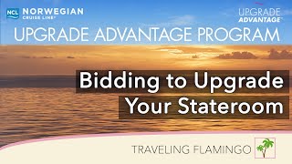 ⚓️ NCL upgrade advantage | Should You Upgrade with Norwegian?