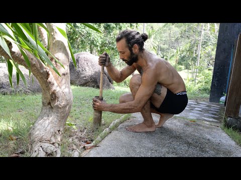 Aroush Paints in the Jungle #painter #relaxing #nature #armenaroush