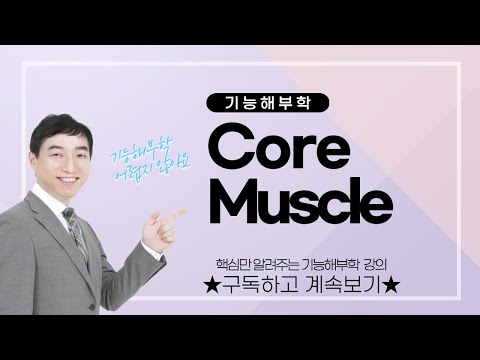 , title : '[기능해부학] Core muscleㅣ 코어근육ㅣ송창호 교수'