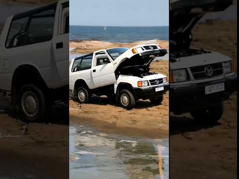 Instavaathi and HuskyBullyCheems