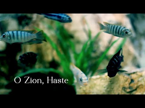 365 SDA Hymnal - O Zion, Haste (Singing w/ Lyrics)