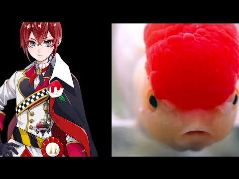 Side by side comparison of Floyd’s nicknames by the twist boys