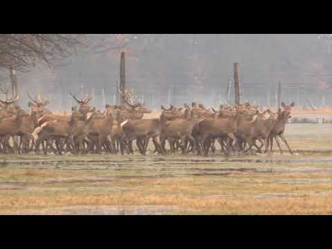 Može bolje ep. 46 24.02.2018. NAJAVA