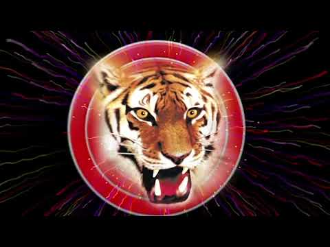 Compact ILIADE 26 Coups – Bombettes Multicolores et Final Crépitant Or F2