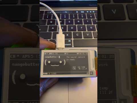 Pwnagotchi Features in 60 Seconds