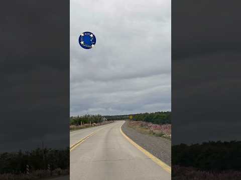 CHOCHOS EN LA RUTA 9 EN ÚLTIMA ESPERANZA #chile #puertonatales #flores #surdechile #patagonia #top