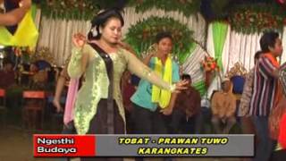 Download lagu TOBAT-PRAWAN TUWO-KARANGKATES TAYUB SOR TEROBAN mp3