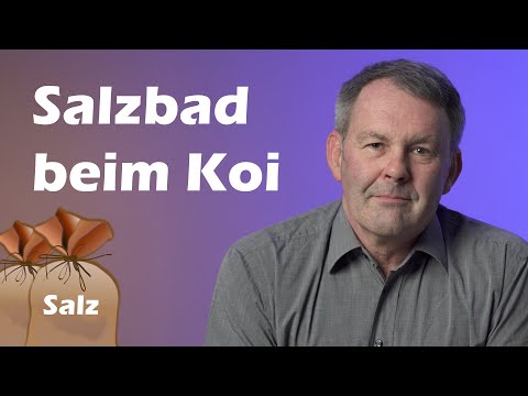 Miracle cure for koi? The salt bath explained