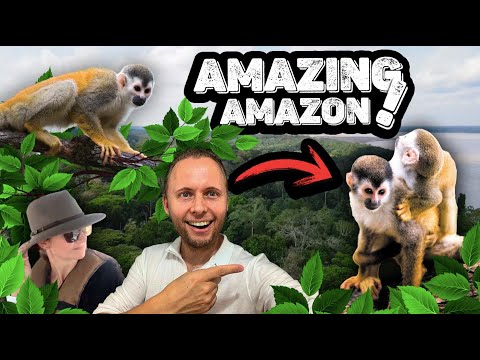 Monkey Island Adventure: Squirrel Monkeys & Amazon River Dolphins | Amazon Adventure Part 1
