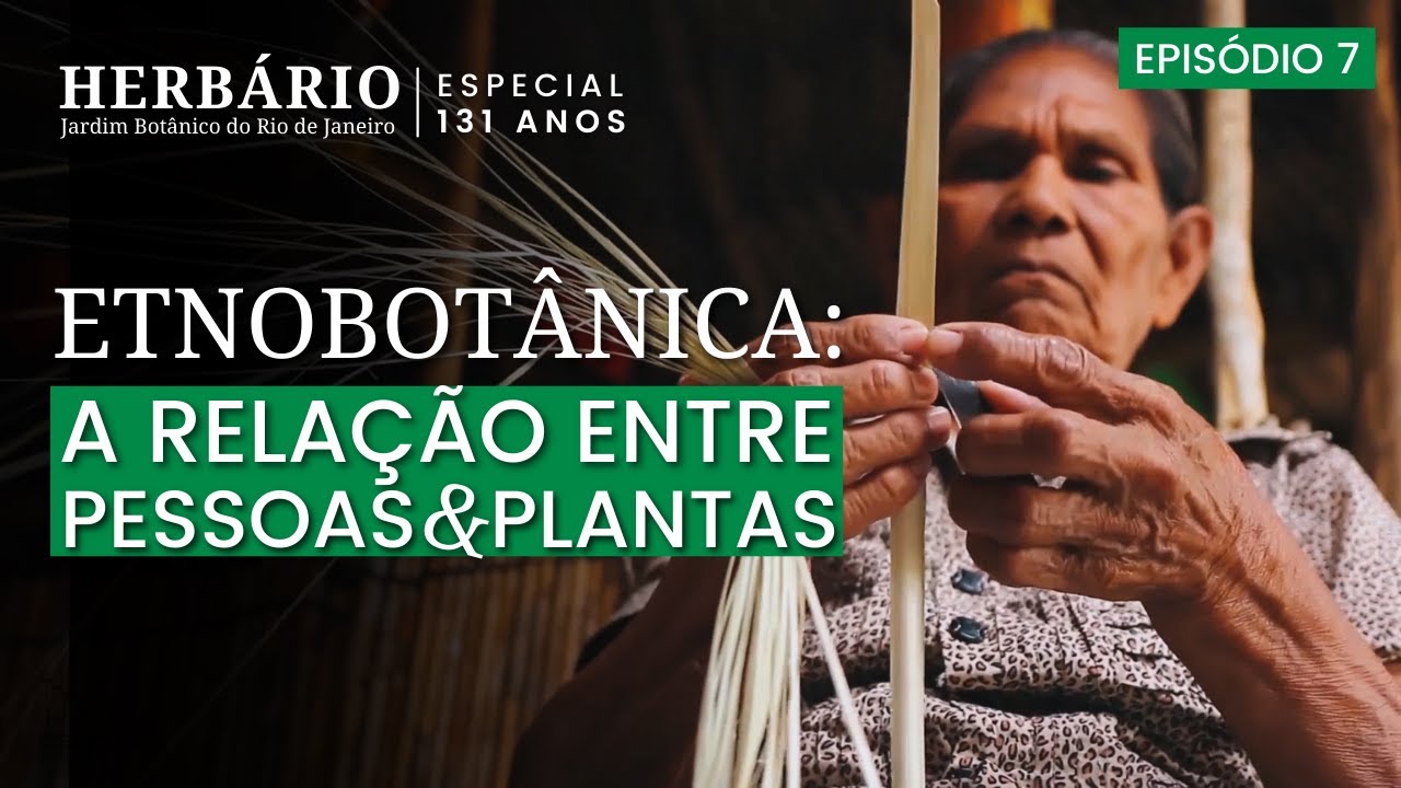 HERBÁRIO JBRJ #131 - ETNOBOTÂNICA:  A RELAÇÃO ENTRE PESSOAS E PLANTAS - EP. 7 - JBRJ