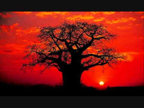 Chipyango - Dalisoul Ft. JK.wmv